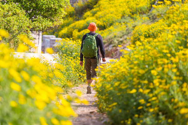 Man in Shorts on Hiking Trail