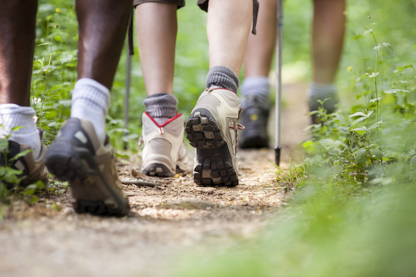 People Hiking in Shorts